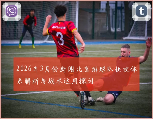 2026年3月份新闻北京排球队快攻体系解析与战术运用探讨
